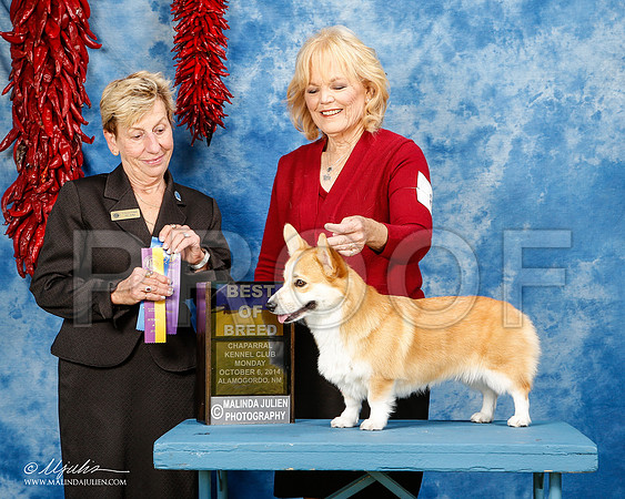 _ST_3709-2-AlamogordoOct2014-HR3