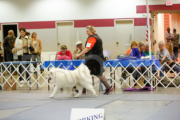 _JN_8465-AmarilloSept2014-HR3