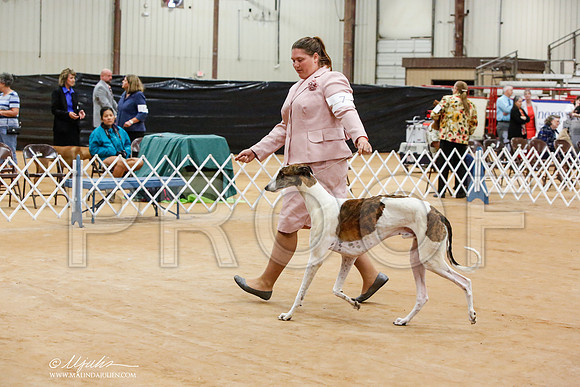 _JN_6232-TxArJun2014-HR3