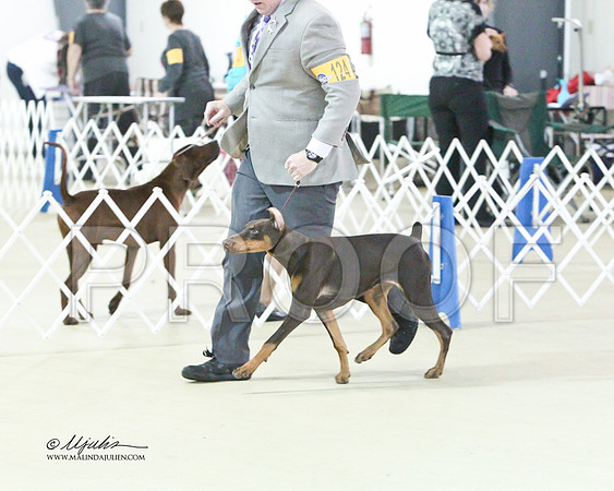 Dobe-0486