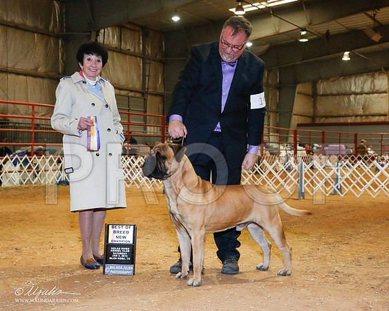_RH_8796-2-GlenRoseJan2015-HR3