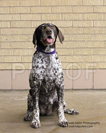 GSP-0157