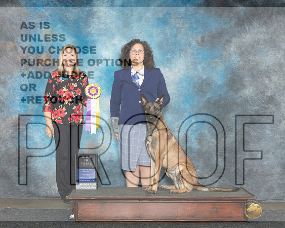 Belgian Malinois #110 Sun HIT Judge Susan Knowles-_JP_2820e_UKCLongviewApr2024-HR3