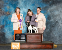 Anissa Littlefield UKC Longview Apr 2024