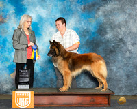 Carter Miller UKC Longview Apr 2024