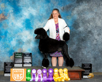 Catherine Nelson UKC Longview Apr 2024