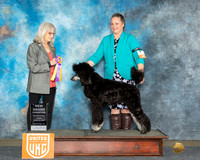 Cathy Nelson UKC Longview Apr 2024