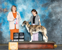 Danielle Snyder UKC Longview Apr 2024