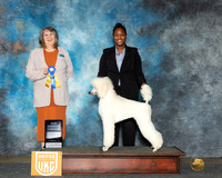 Cenia Tyler UKC Longview Apr 2024