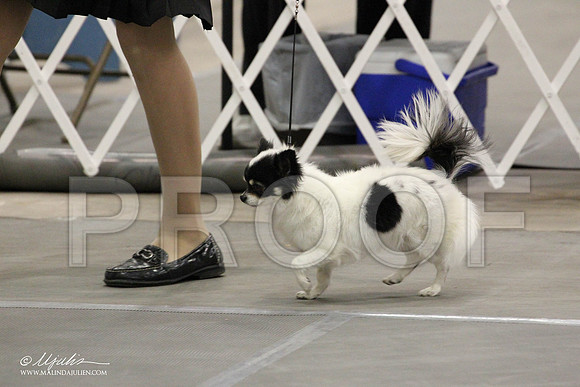 IMG_7590-Abilene2011-HR3