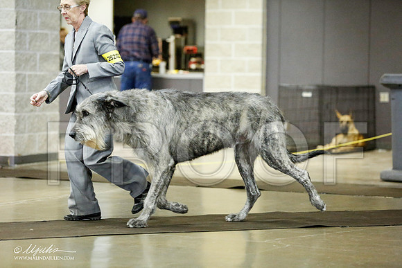 _RH_1385-BeltonJan2015IABCA-HR3