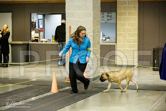 _RH_1534-BeltonJan2015IABCA-HR3
