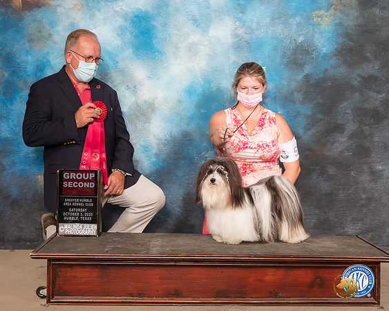 Havanese #5 Sat G2 Judge John Constantine Amodei-_SR_0865e-HR3