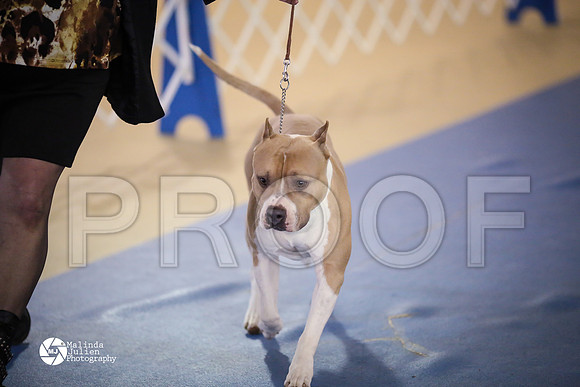 APBT-5482-HtoJan14-HR