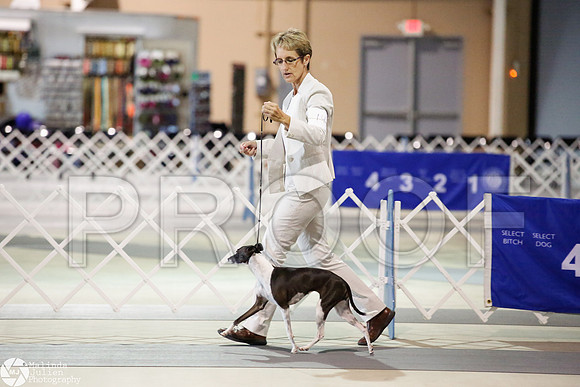 _JJ_2263-SanAntonioJul2014-HR