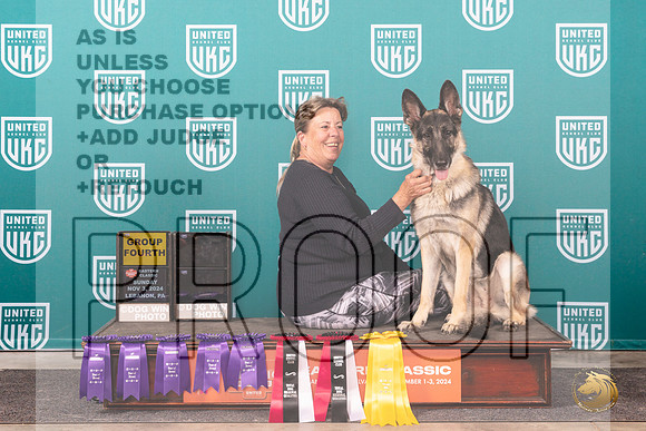 German Shepherd Dog #215 BOB__JP_2458_UKCEastern_2024_HR3