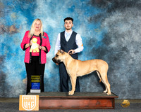 Jaden ? UKC Longview Apr 2024