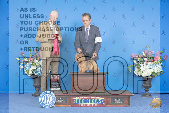 Norwich Terrier #7 SAT G2 Judge Jon Cole__JP_0092_Houston_2024_HR3
