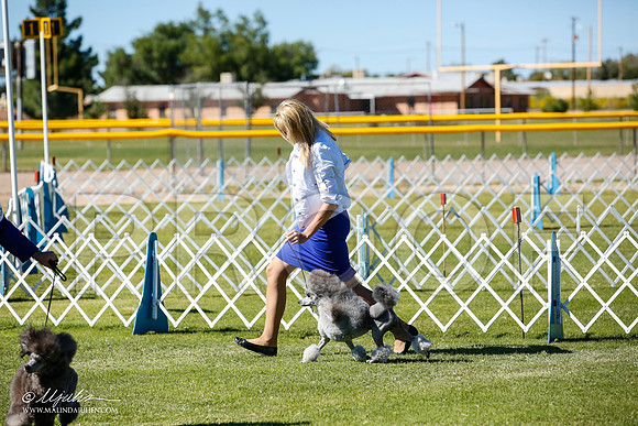 _JN_9420-AlamogordoOct2014-HR3