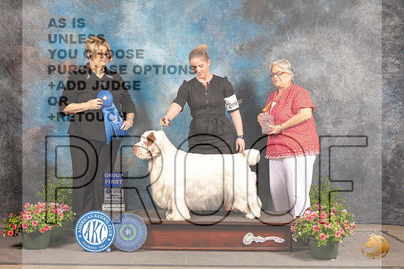 Clumber Spaniel #7 Sun G1 Judge Cindy Lane_MJ_1633_SA_2022_HR3