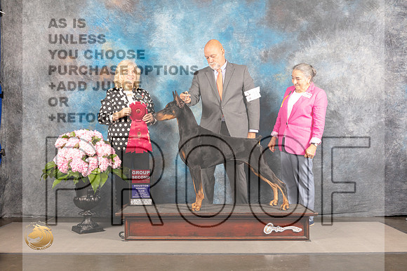 Doberman Pinscher #21 Thur G2 Judge Karen McFarlane_MJ_4624_Houston_2022_HR3