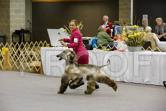 _JJ_8954-AfgBeltonOct2014-HR3