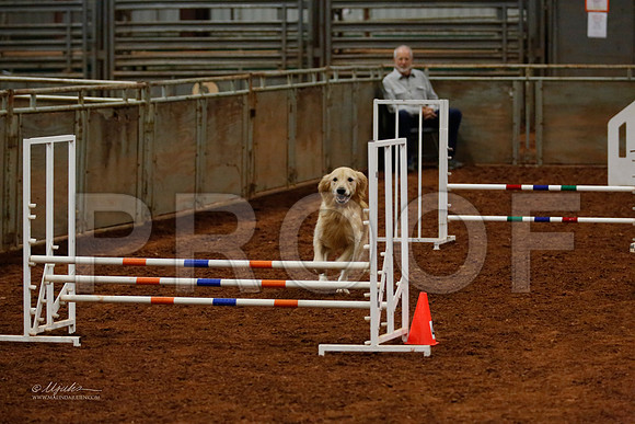 FNov16-2120-WFOct2013-HR