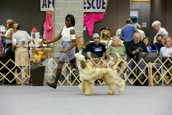 _JJ_9073-AfgBeltonOct2014-HR3