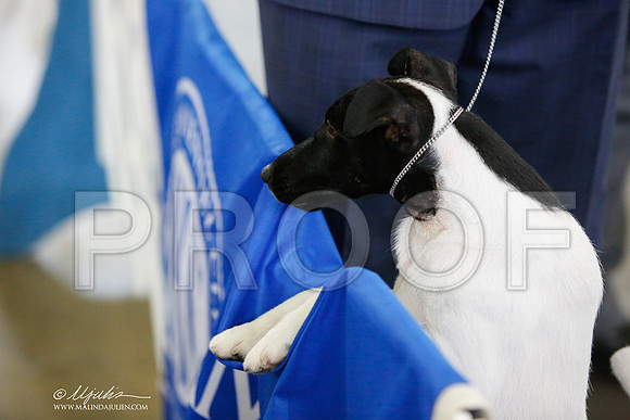 _JJ_2268-DalJul2014-HR3
