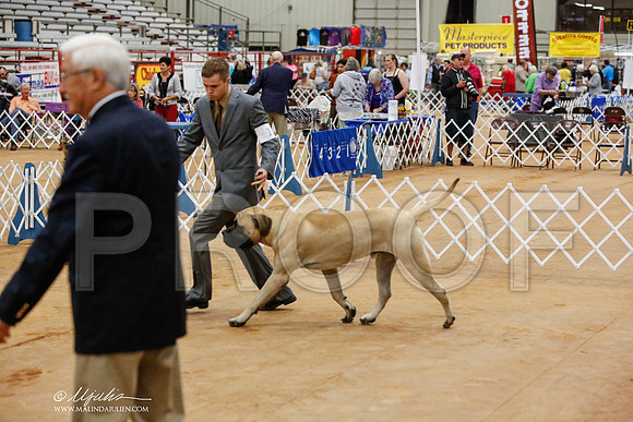 _JN_3074-TxArJun2014-HR3