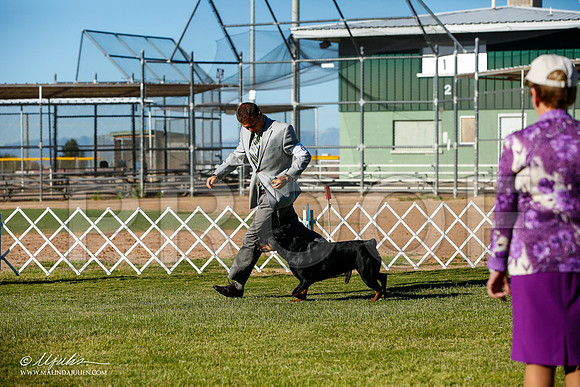 _JJ_8919-AlamogordoOct2014-HR3