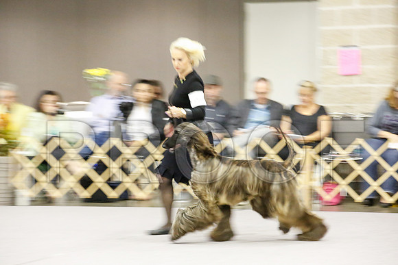 _JJ_9060-AfgBeltonOct2014-HR3