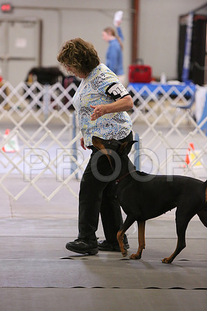 MJ2_3423