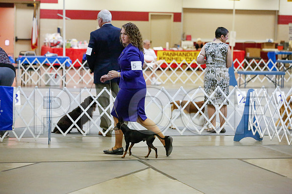 _JJ_0442-AmarilloSept2014-HR3