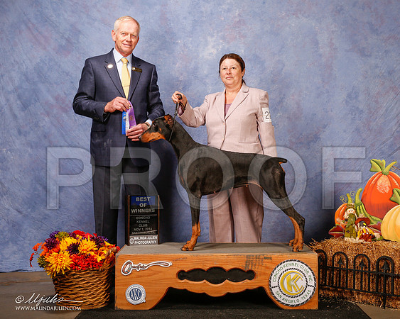 _CL_4479-3-SanAngelo2014-HR3