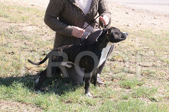 MJS_7814