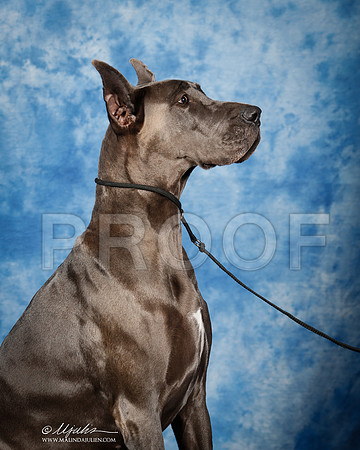 _ST_6903_2-SAJul2014-HR3