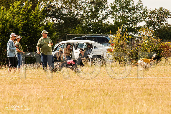_MJ_5468-AfgBeltonOct2014-HR3