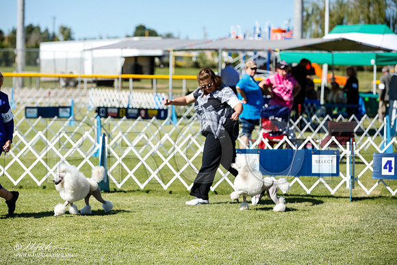 _JN_9415-AlamogordoOct2014-HR3