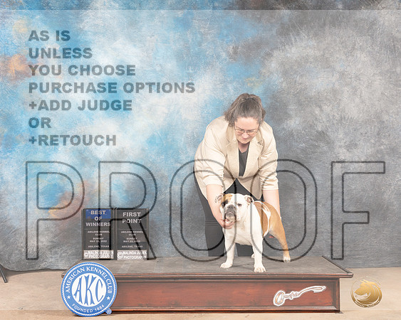 Bulldog #12 Sun BOW Judge Peggy McIlwaine-MMJ_4667-Abilene2022-HR3
