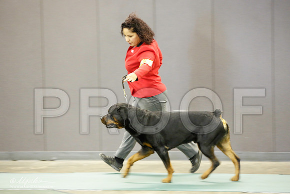 _JN_2135-BeltonJan2015-HR3