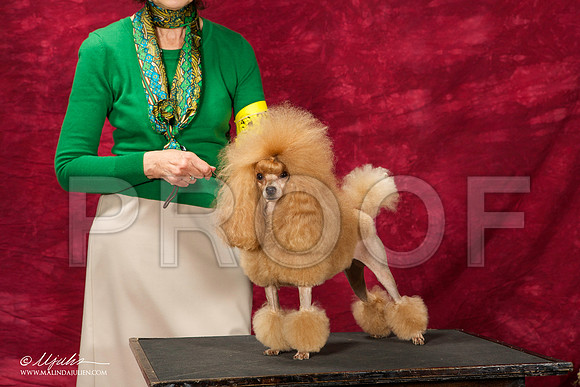 _ST_2811-BeltonJan2015IABCA-HR3