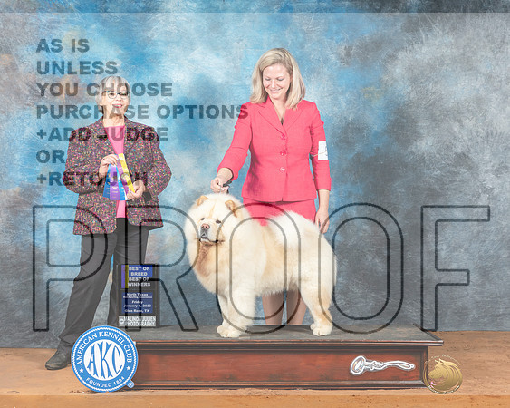 Chow #5 Fri BOWBOB Judge Deborah Barrett_MJ_4844e_GlenRose2023-HR3