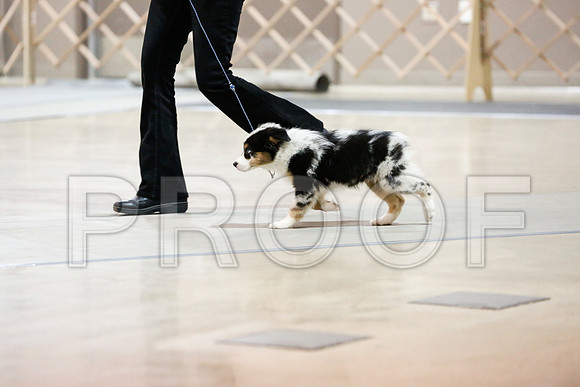 _RH_1837-ASCACollegeStationNov2014-HR3