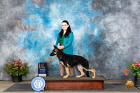 German Shepherd Dog #5 Sat PBOB Judge Wendy G Willhauck