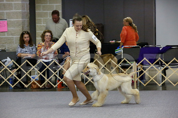 _JJ_0089-AfgBeltonOct2014-HR3