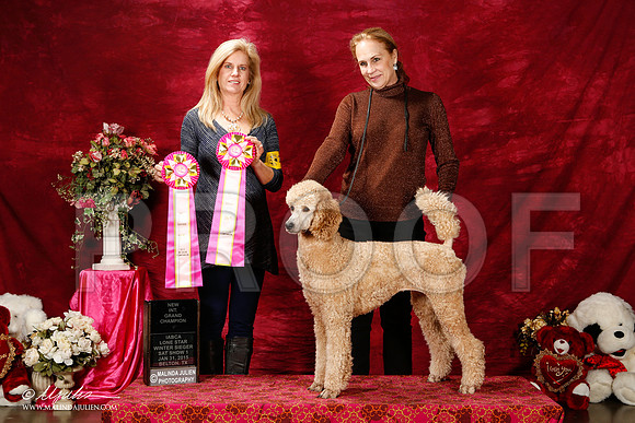 _ST_2777-2-BeltonJan2015IABCA-HR3