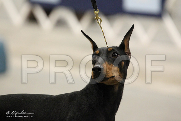 IMG_7991-Abilene2011-HR3