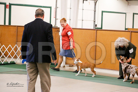BISpup-0088-NormNov13-HR