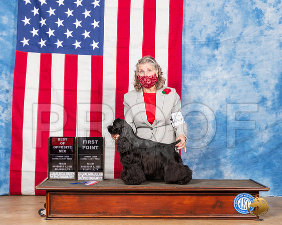 Cocker Spaniel Black #6 Fri BOS 1stPoint Judge Falconer__SR_2832_Bellville2020_HR3